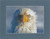 American Bald Eagle Close-up By Alaskan Photographer Gan Welland With Blue/Gray Matting