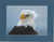 American Bald Eagle Close-up By Alaskan Photographer Gan Welland With Blue Matting