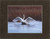 Swan On Pond By Alaskan Photographer Gan Welland With Brown Matting