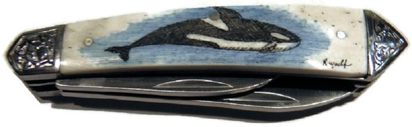Pocket Knife w/Orca Scrimshawed Faux Ivory Handle, Two Blades and Pocket Sheath