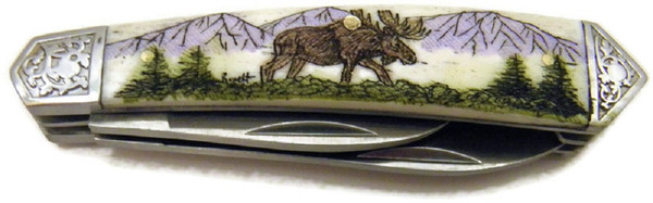 Pocket Knife w/Moose Scrimshawed Cultured Ivory Handle, Two Blades and Pocket Sheath