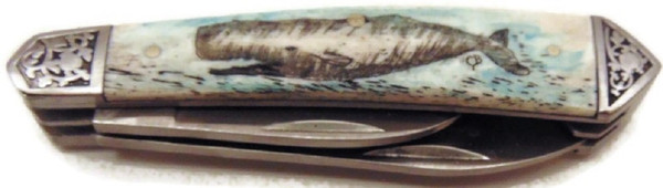 Pocket Knife w/Whale Scrimshawed Cultured Ivory Handle, Two Blades and Pocket Sheath