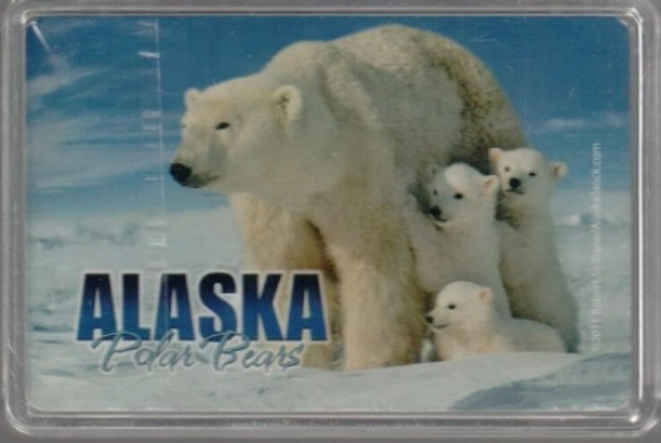 Alaska Polar Bear Standard Playing Cards (In Clear Case)