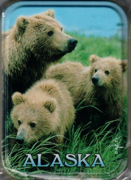 Alaska Grizzly Bear Standard Playing Cards (In Tin Case)