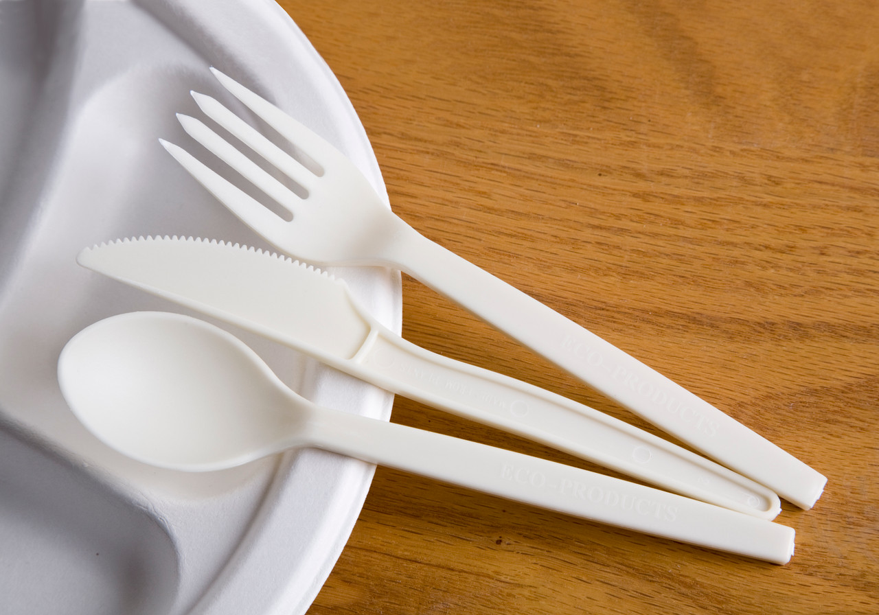 PSM Cutlery 7 in. White Spoons (EPS003)