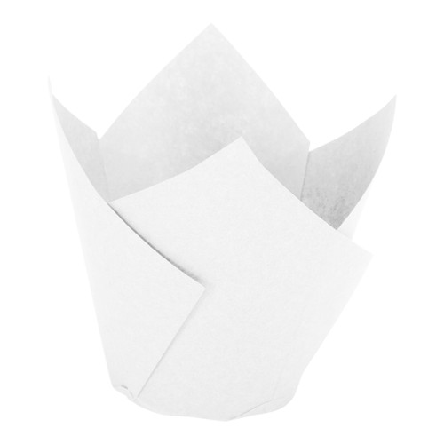 Tulip cup (363212) 