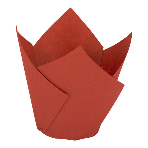 Tulip cup (363200) 