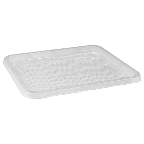 9D RPET Value Tray, Clear