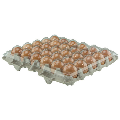Pactiv Evergreen 11.5 X 11.5 X 10" PET Egg Capper
