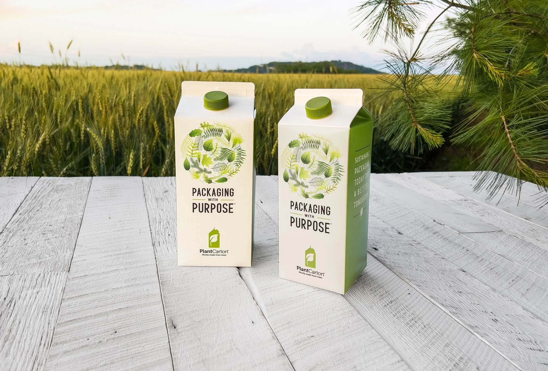 Cartons