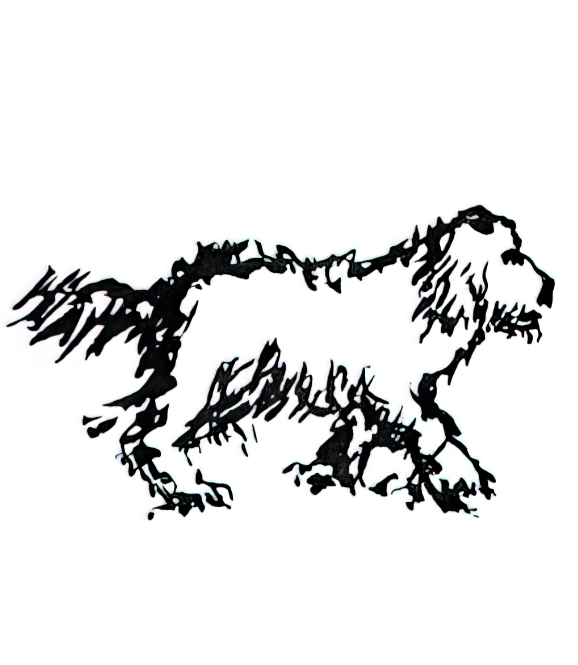 Artwork of a dog by Jerry Garcia titled "Beauregard"