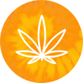 Marijuana leaf