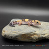 African Fat-Tail Gecko (16g pos. male) FT104