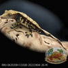 Crested Gecko (26G Male) CG508