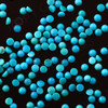 Joopy Gems Turquoise Cabochon 2mm Round
