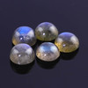 SALE 599 Labradorite Cabochon 8mm Round,  lot of 5 stones
