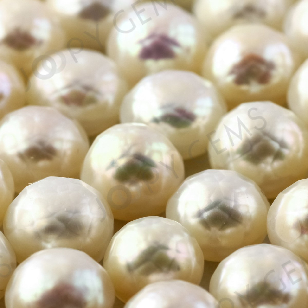 White Cultured Freshwater Pearls Half-Drilled Button 7.5-8mm ROSE CUT