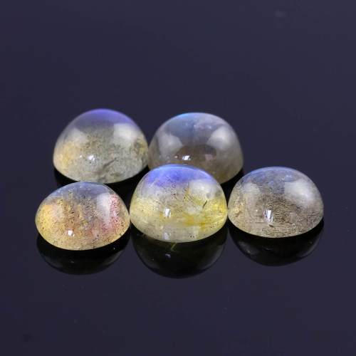 SALE 599 Labradorite Cabochon 8mm Round,  lot of 5 stones