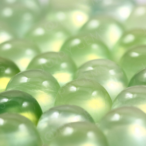 Joopy Gems Prehnite Cabochon 5mm Round