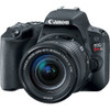 Canon EOS SL2 DSLR Camera with 18-55mm Lens (Black)