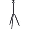 Sirui T-004X Aluminum Tripod with C-10S Ball Head (Black)