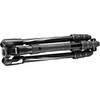 Manfrotto Befree 2N1 Aluminum Tripod with 494 Ball Head (Twist Lock)