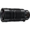 Panasonic Leica DG Vario-Elmar 100-400mm f/4-6.3 ASPH. POWER O.I.S. Lens