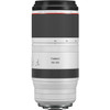 Canon RF - 100-500mm f/4.5-7.1 L IS USM Lens