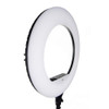 Savage 18" Luminous Pro Bi-Color Led Ringlight