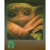 Polaroid I-Type Color Film - The Mandalorian Edition (8 Photos) (6020)