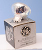 EJL 24V/200W Projection Bulb