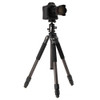 Benro Induro Classic CLT303 Tripod