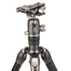 Benro Tortoise TTOR35C Carbon Fiber Tripod with GH2F Folding Gimbal Head