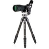 Benro Tortoise TTOR35C Carbon Fiber Tripod with GH2F Folding Gimbal Head