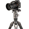 Benro TTOR35C Carbon Fiber Tripod with GH2F Folding Gimbal Head