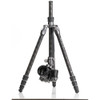 Benro Rhino Carbon Fiber Two Series Travel Tripod with VX25 Head