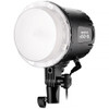 Westcott U60-B Bi-Color LED Monolight with Octabox (2-Light Kit)