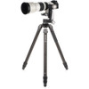 Benro Mammoth 4-Series, 4-Section Carbon Fiber Tripod