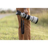 Sony - FE 400-800mm f/6.3-8 G OSS Lens (Sony - E)