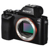 Sony Alpha a7 S Mirrorless Digital Camera