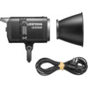 Godox Litemons LE300Bi Bi-Color LED Monolight (Black)