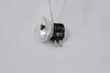 EPG 21V/80W Projection Bulb
