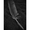 OM SYSTEM - PEN Mirrorless Camera with 14-42mm III and 40-150mm R Lenses (Black)