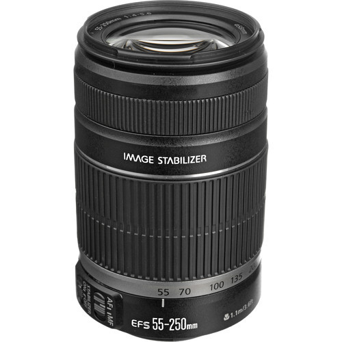 Canon EF-S 55-250Mm F4-5.6 IS II at Ace Photo