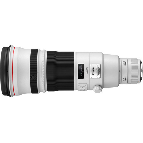 Canon EF 500mm f/4L IS II USM at Ace Photo
