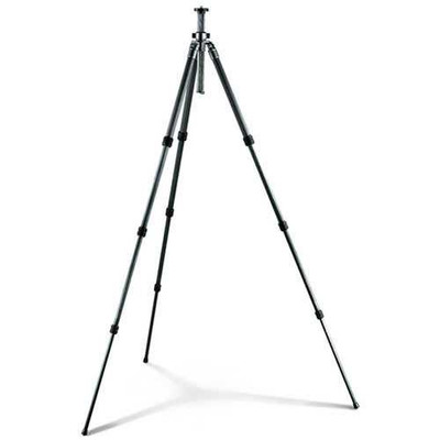 Gitzo - GT1541 Mountaineer 6X Carbon Fiber Tripod Legs