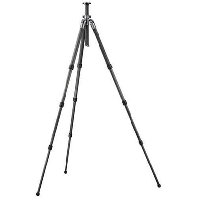 Gitzo - GT1541 Mountaineer 6X Carbon Fiber Tripod Legs