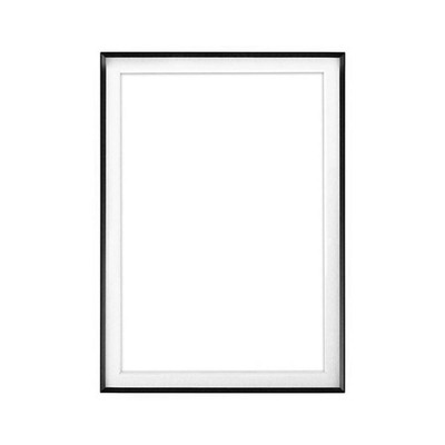 16X20 Fineline Blk Aum