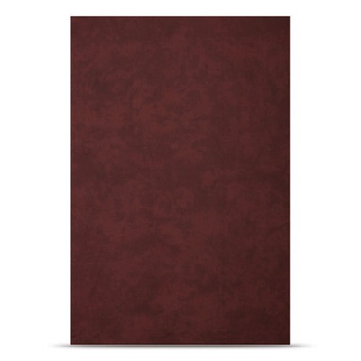 10'X12' Autumn Red background