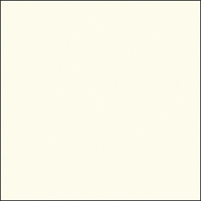 Savage Widetone Seamless Background Paper (#50 White 53" x 36' )